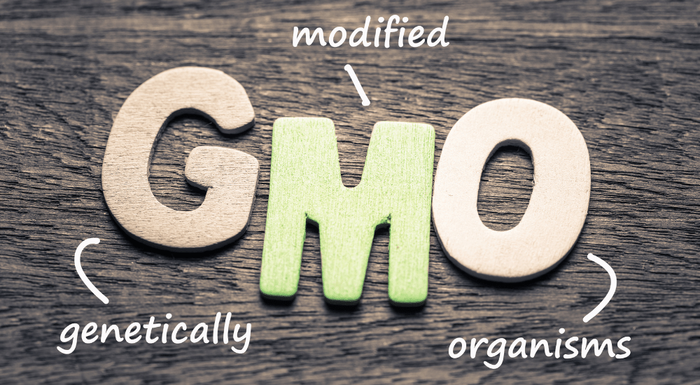 genetically modified organisms